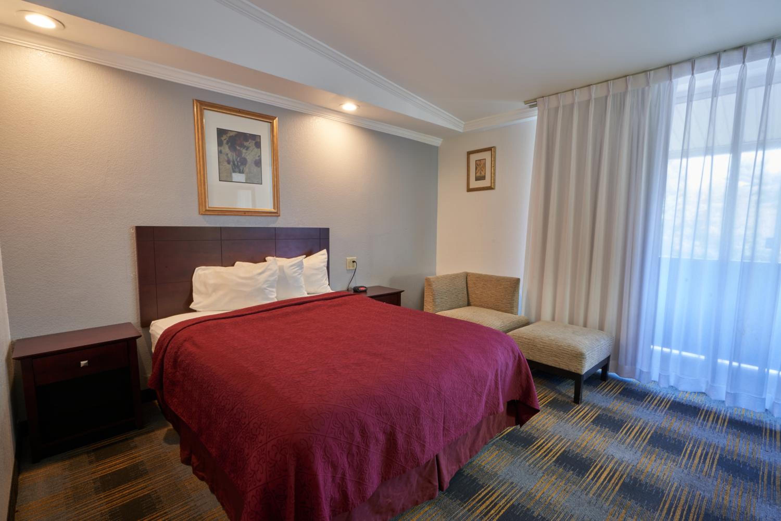 Deluxe Room, Queen Bed