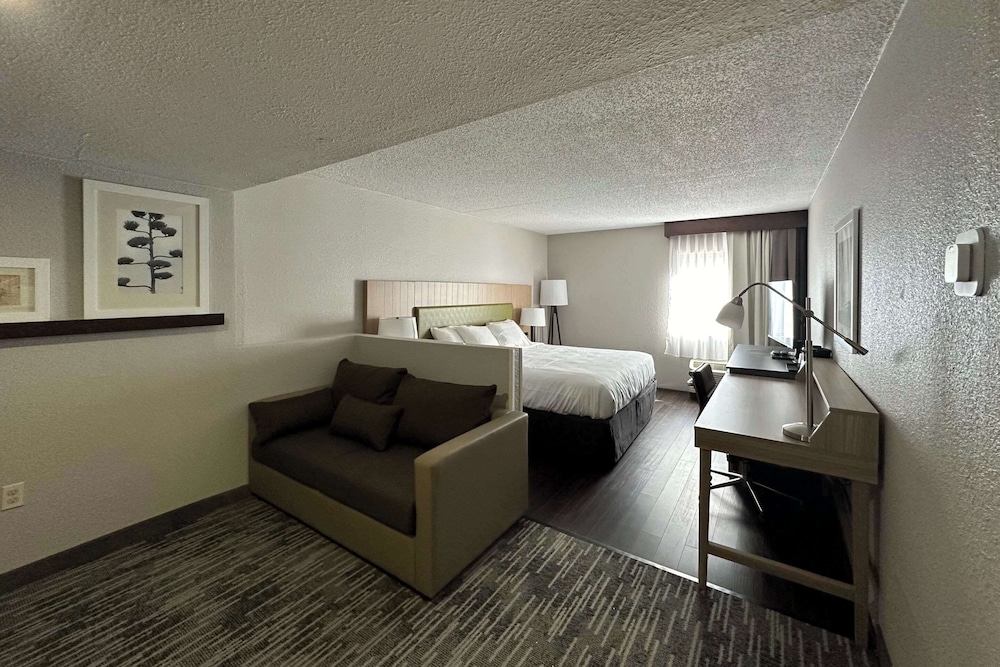 Suite, 1 King Bed, Non Smoking