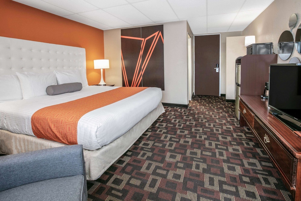 Standard Room, 1 King Bed, Non Smoking
