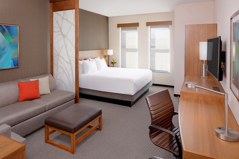 Suite, 1 King Bed with Sofa bed, Accessible, Bathtub