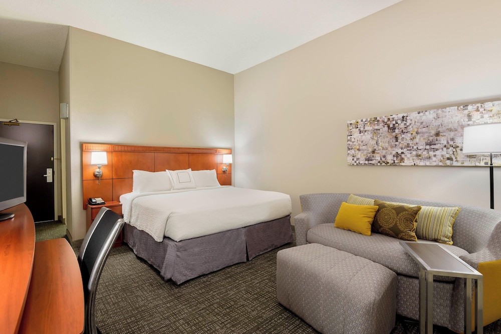 Room, 1 King Bed with Sofa bed (Mobility/Hearing Access, Roll-In Shwr)