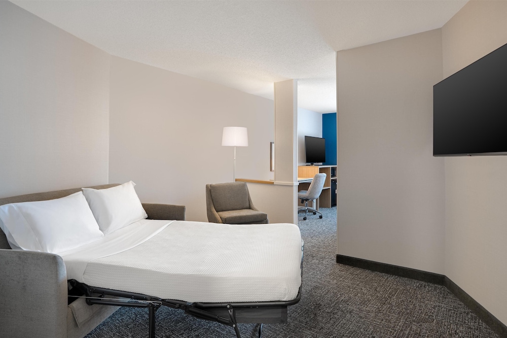 Room, 1 King Bed with Sofa bed, Accessible (Mobility & Hearing, Roll-In Shower)