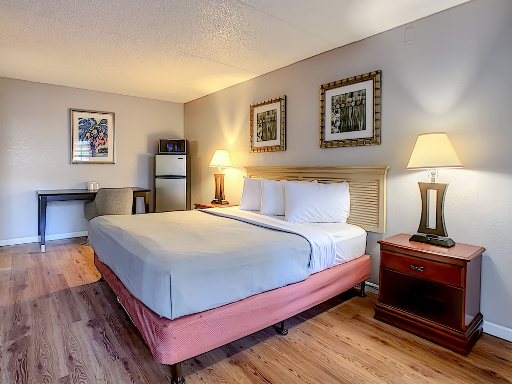 Room, 1 King Bed with Sofa bed