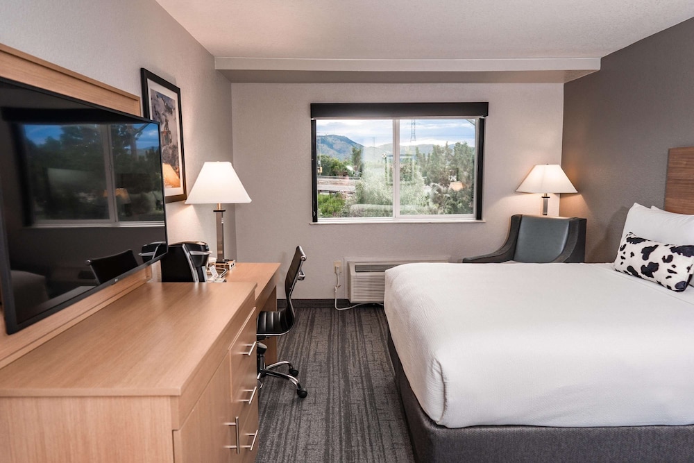 Standard Room, 1 King Bed, Accessible, Refrigerator