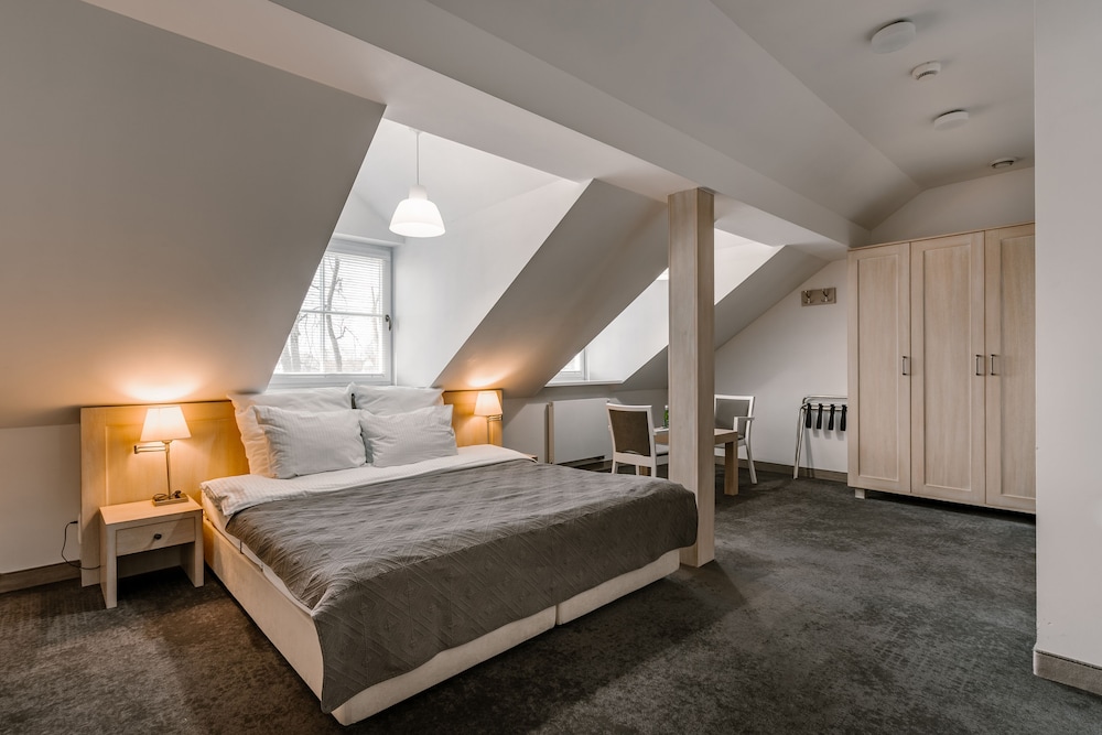 Comfort Single Room, 1 Double Bed