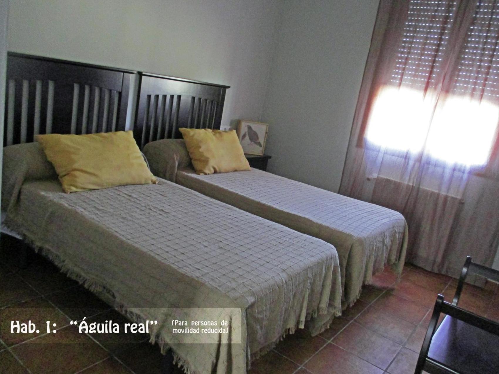 Twin Room - Disability Access