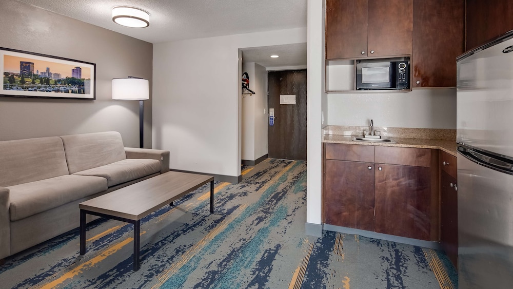 Standard Room, 1 King Bed, Non Smoking, Refrigerator & Microwave (Larger Room;with Sofabed)