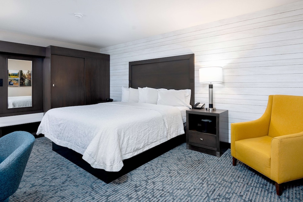 Room, 1 King Bed, Accessible, Bathtub