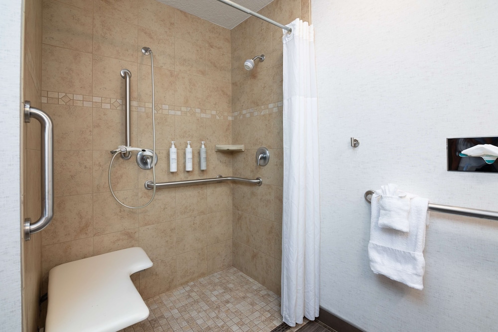 Room, 1 King Bed, Accessible (Roll-in Shower)
