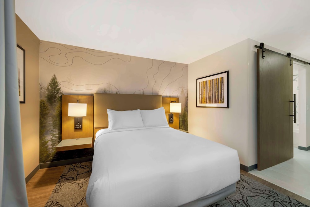 Standard Room, 1 King Bed, Accessible, Refrigerator & Microwave