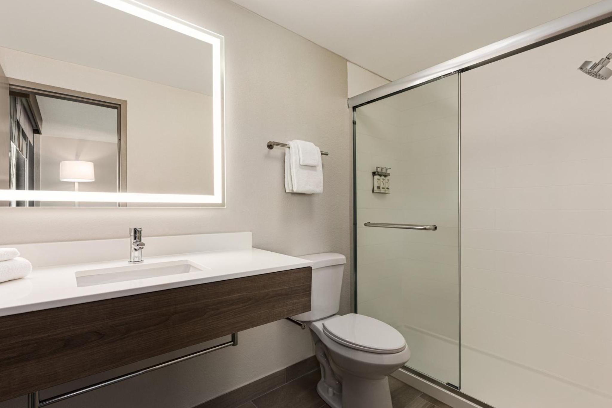 One-Bedroom Suite with Sofa Bed