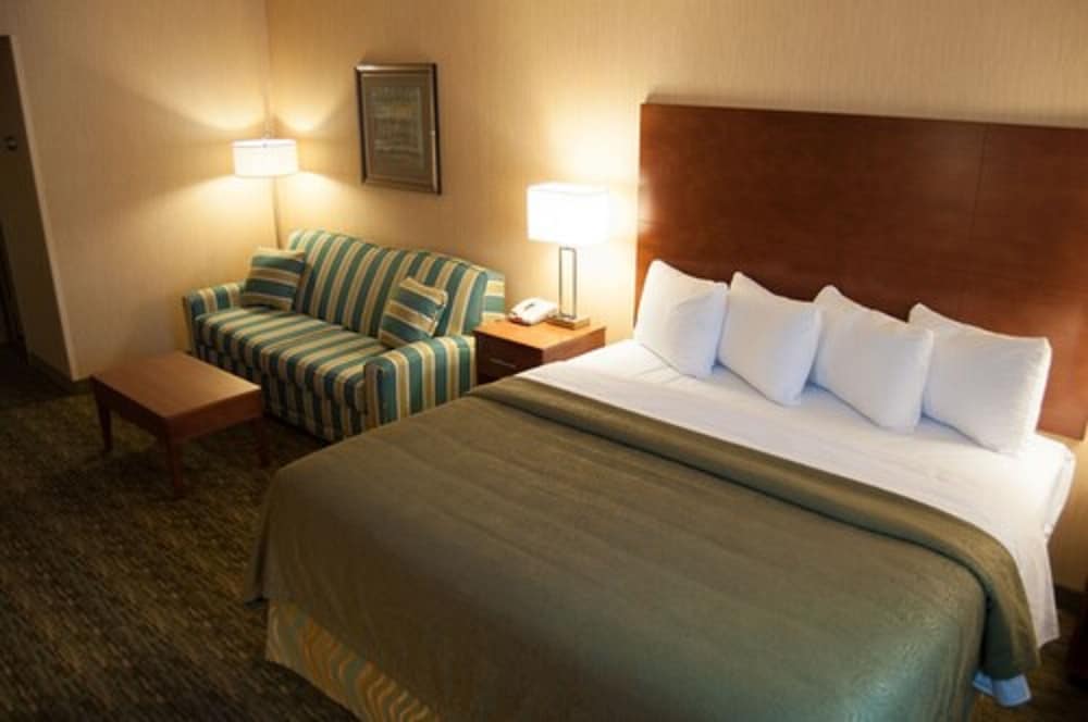 Standard Room, 1 King Bed with Sofa bed, Non Smoking (No Pets)