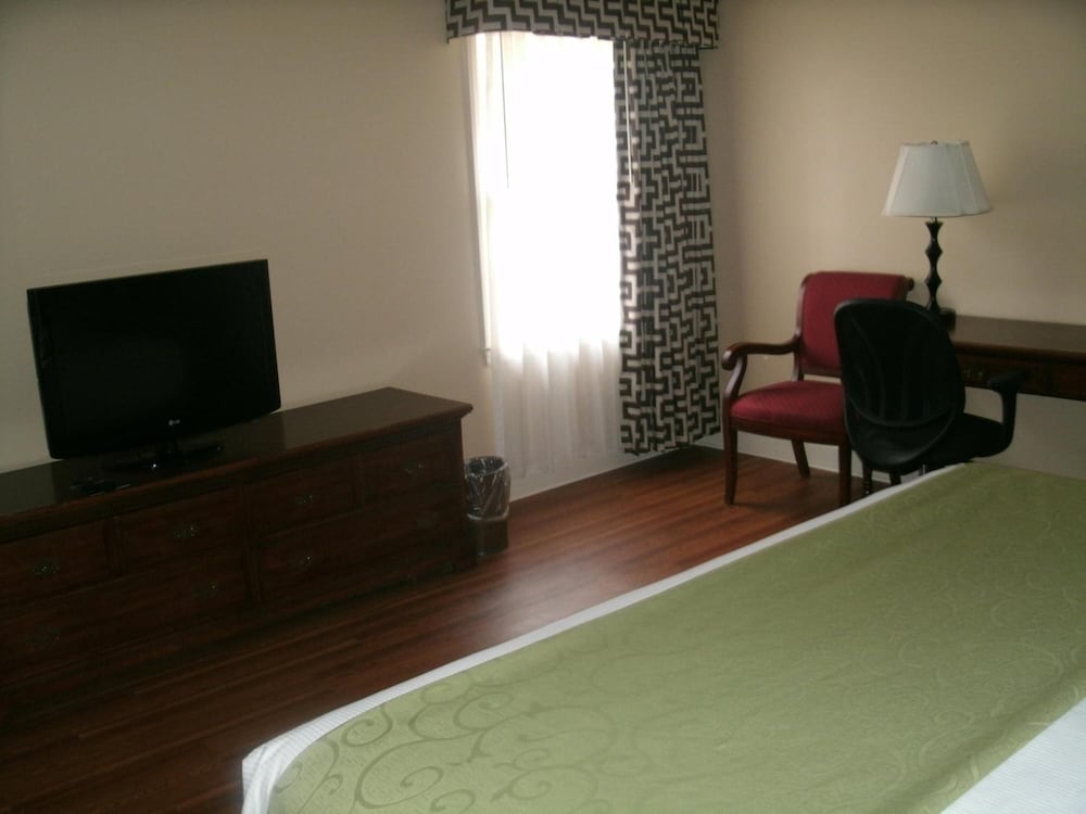Standard Room, 1 King Bed, Multiple View
