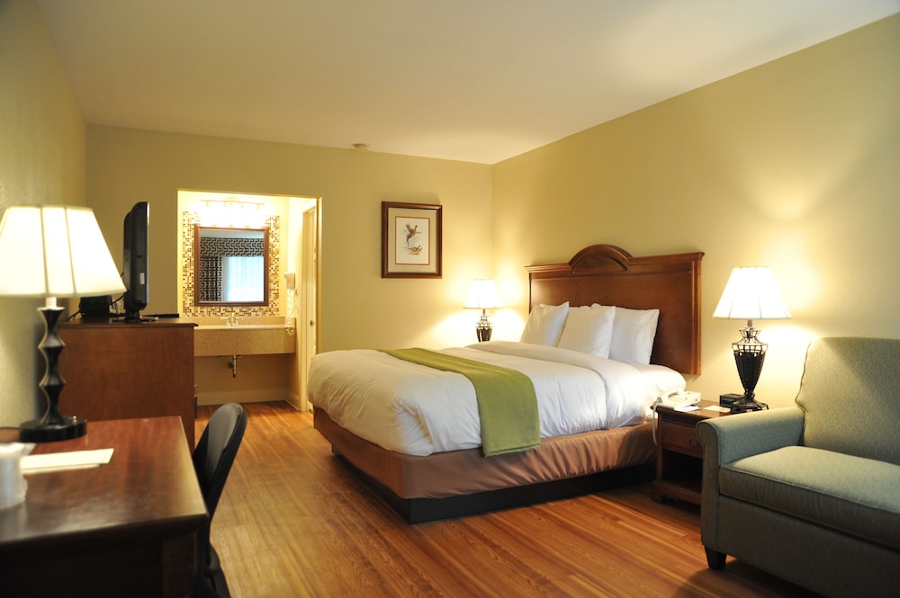 Standard Room, 1 King Bed