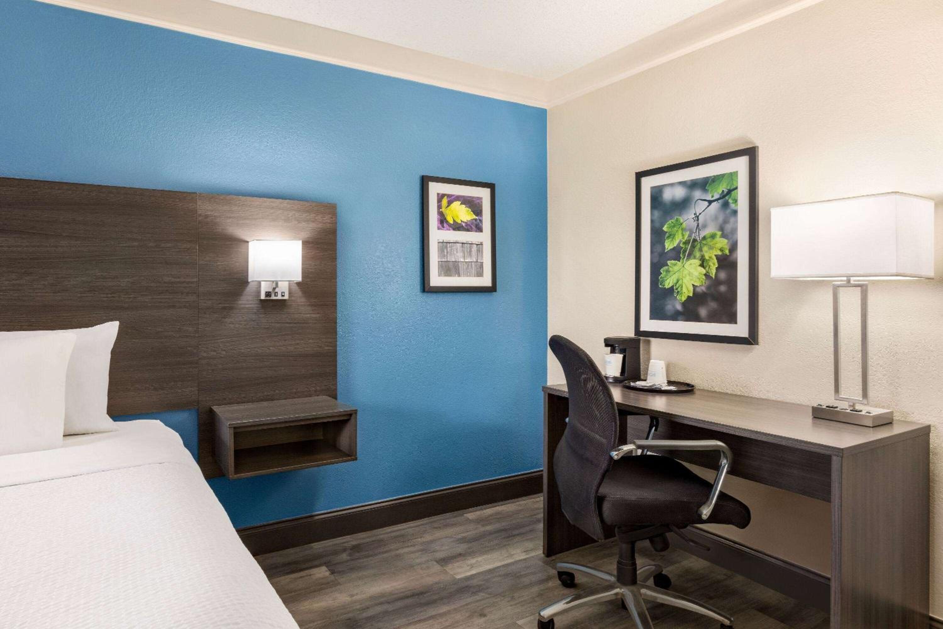 Deluxe Room with One King Bed