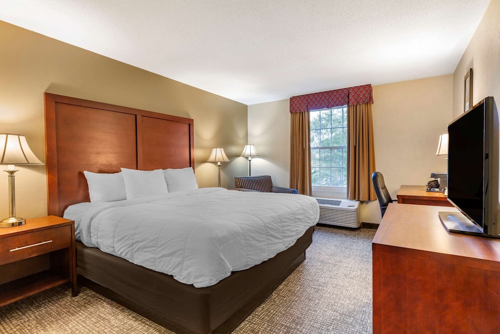 Room, 1 King Bed, Non Smoking