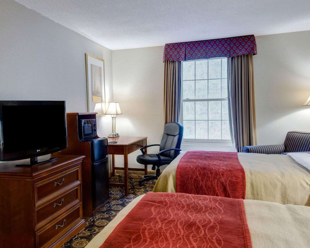 Standard Room, 2 Double Beds, Non Smoking