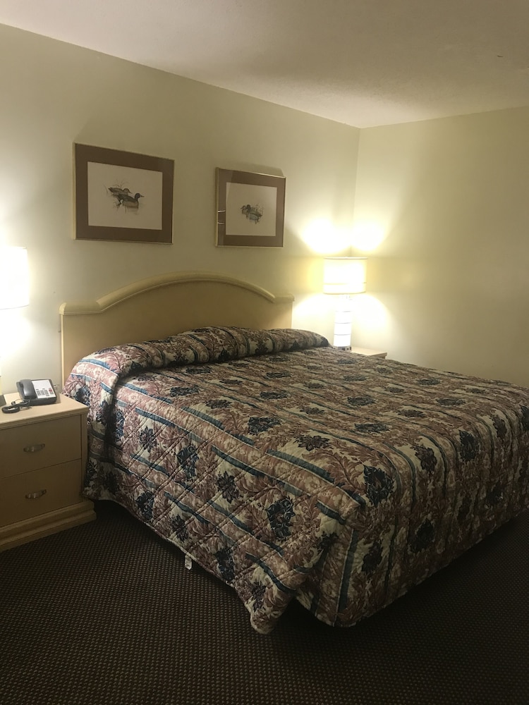 Deluxe Single Room, 1 King Bed, Accessible, Smoking
