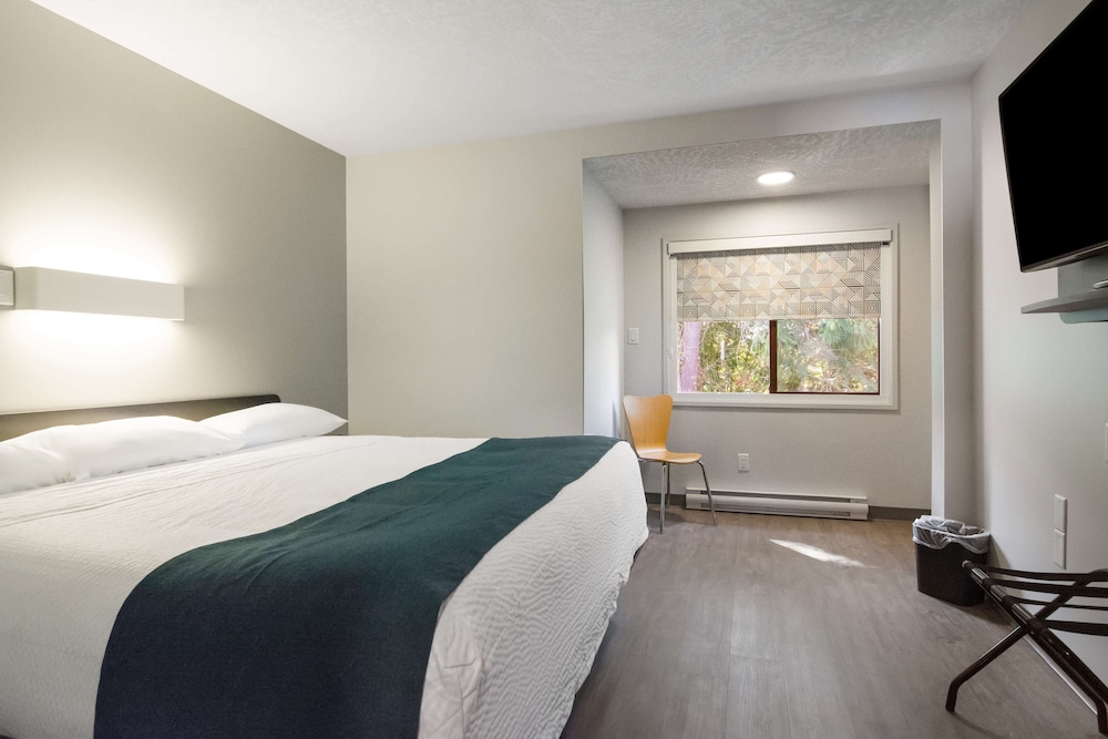 Standard Room, 1 King Bed, Non Smoking, Kitchenette