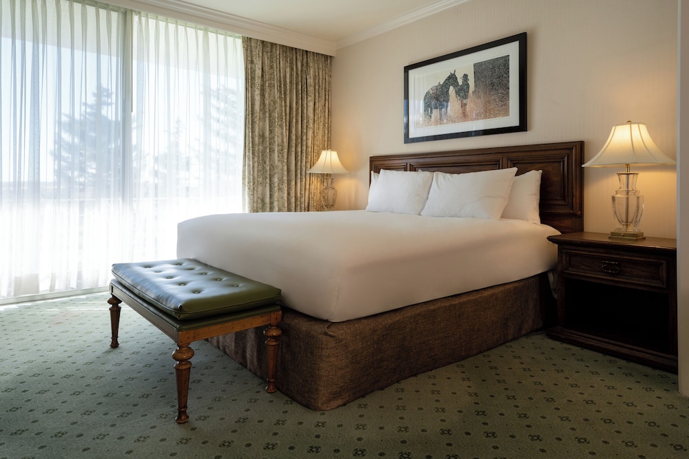 Deluxe Room, 1 King Bed