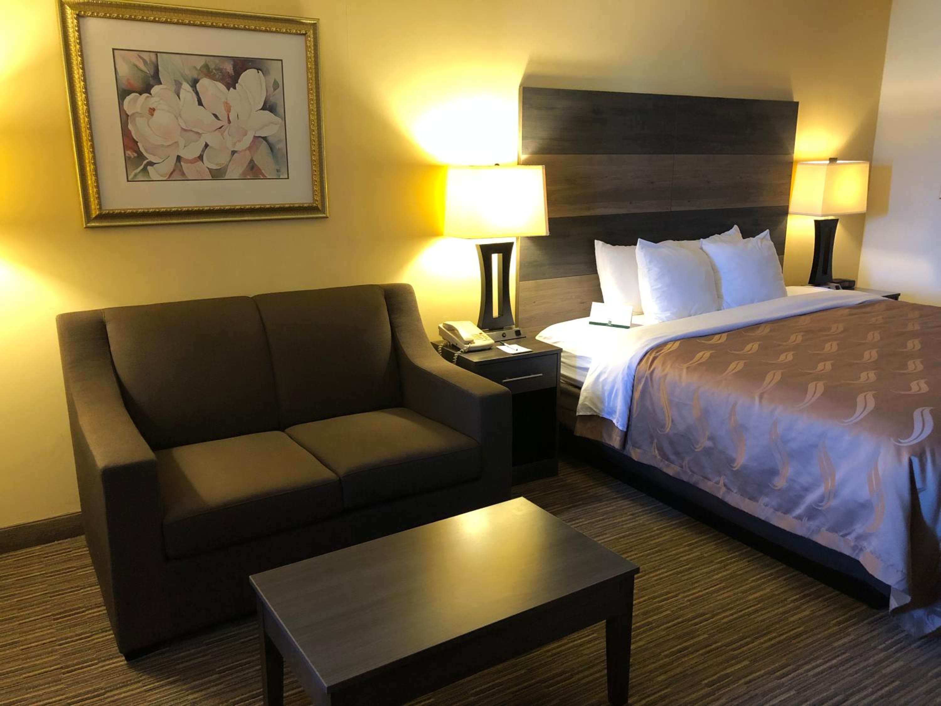 Efficiency Queen Suite with Living room - Non Smoking