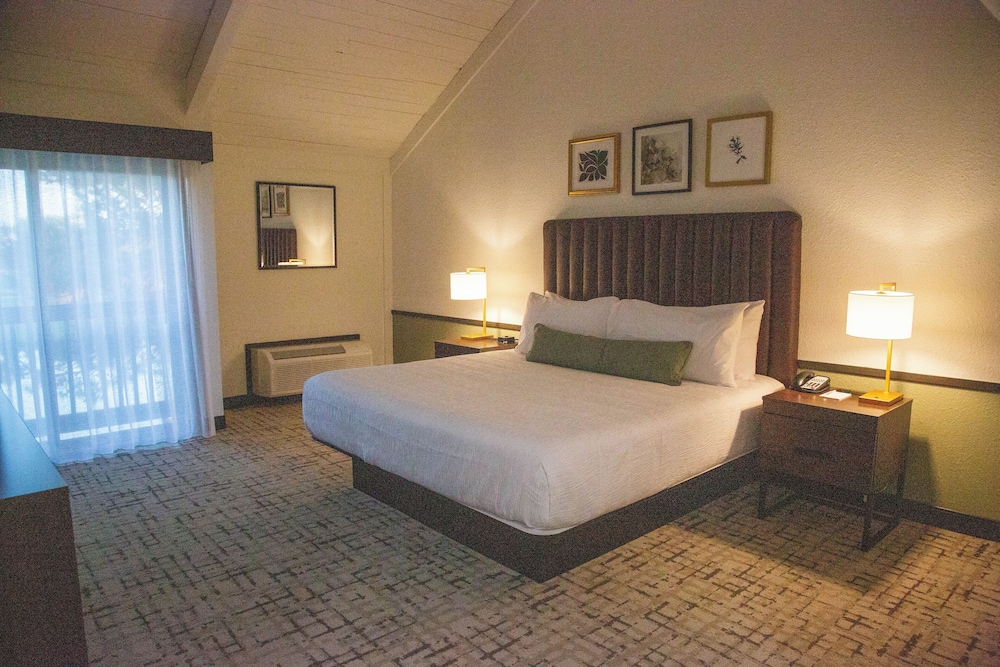 Classic Room, 1 King Bed, Non Smoking