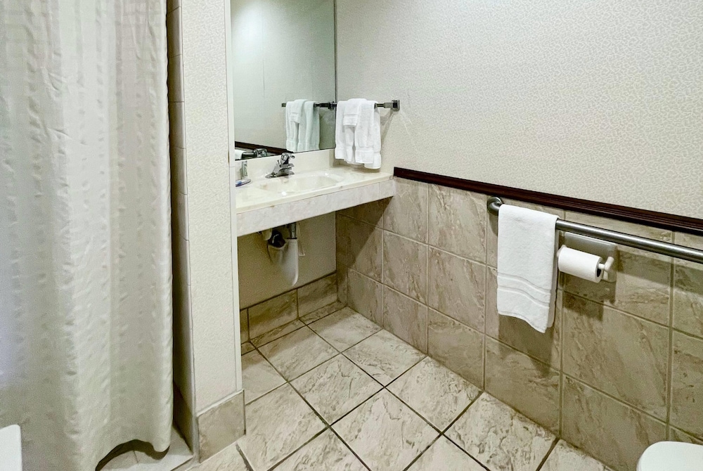 Room, 1 King Bed, Mobility Accessible, Non Smoking (Roll-in Shower)