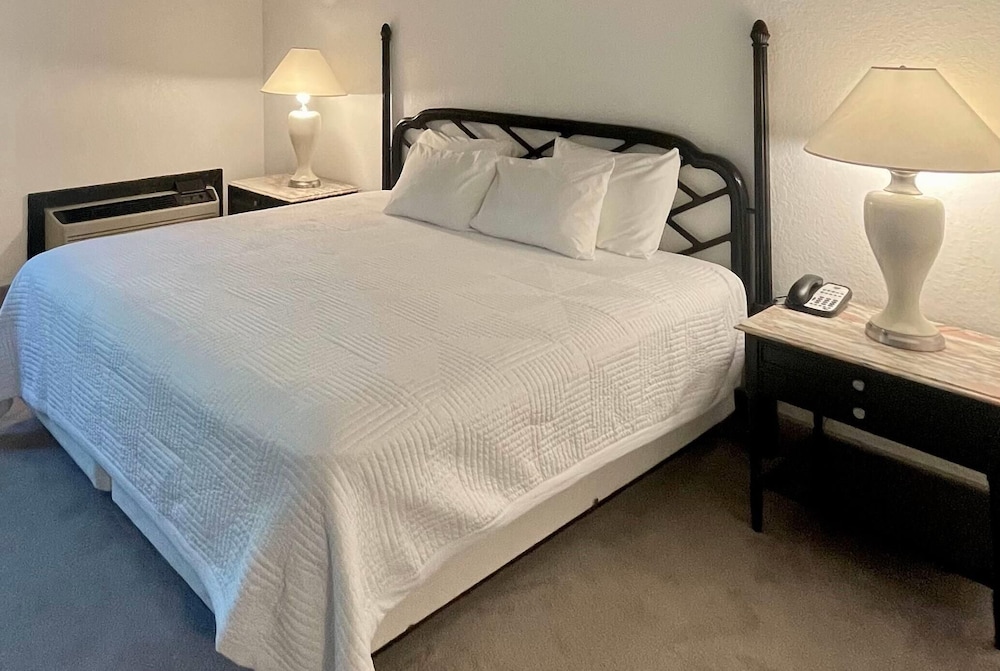 Room, 1 King Bed, Non Smoking (Garden View)