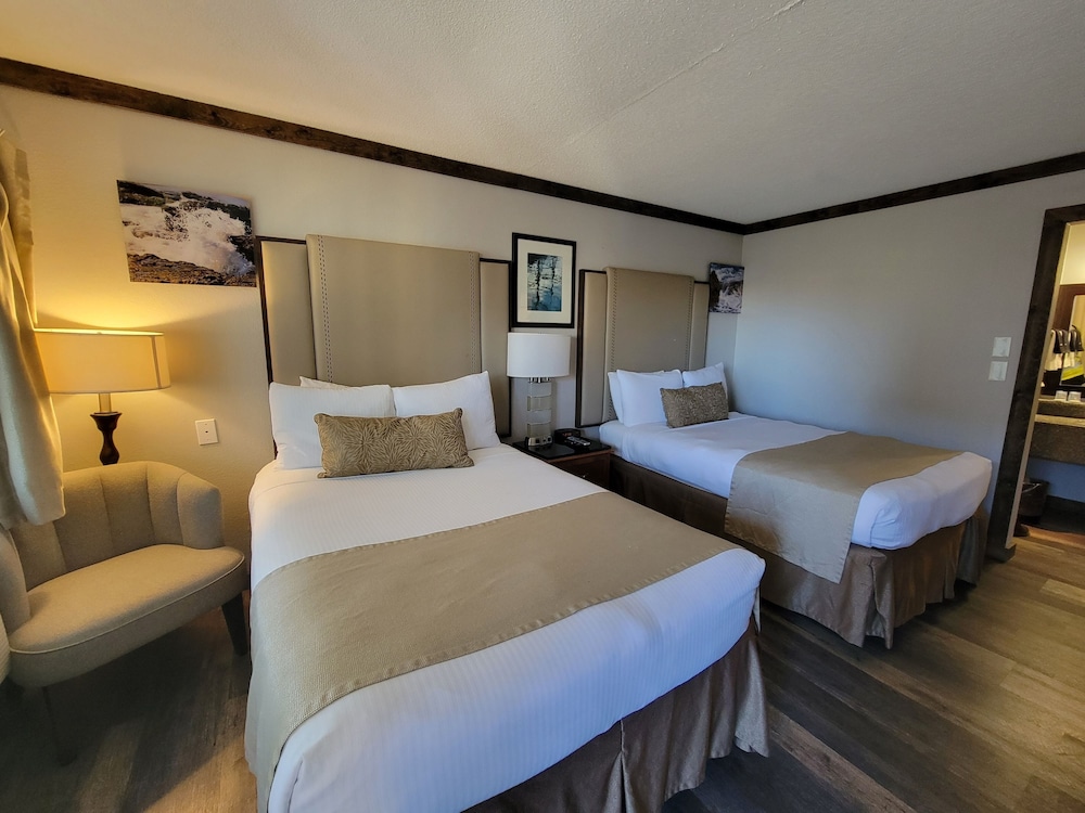 Studio, 2 Double Beds