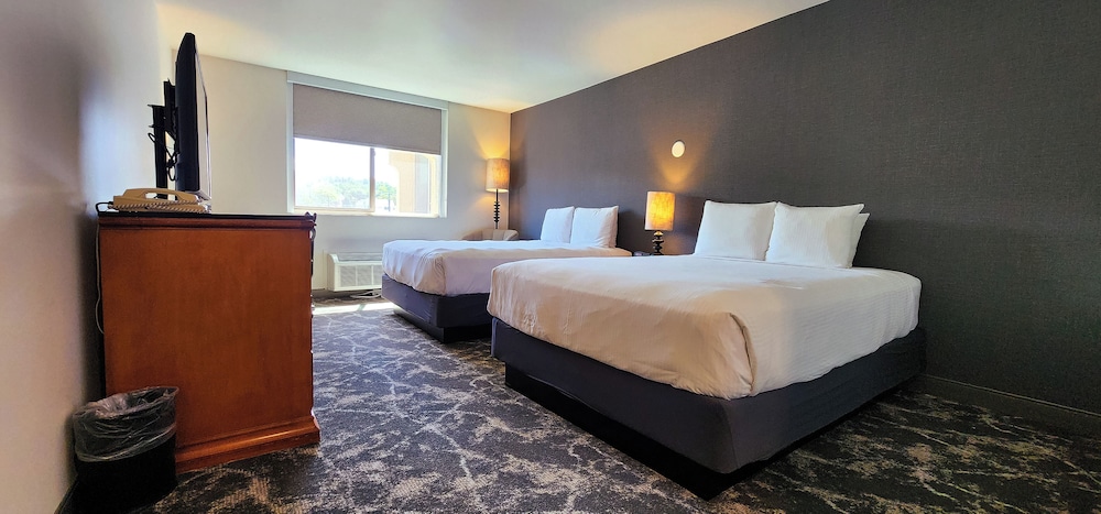 Deluxe Studio, 2 Queen Beds