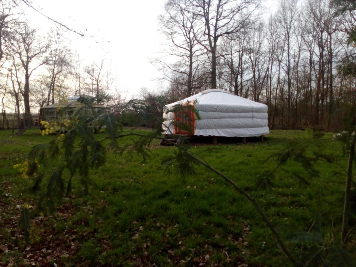 Yurt (4 Adults)