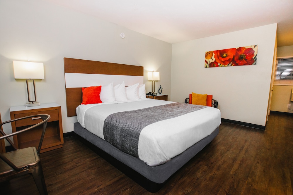 Standard Room, 1 King Bed, Accessible
