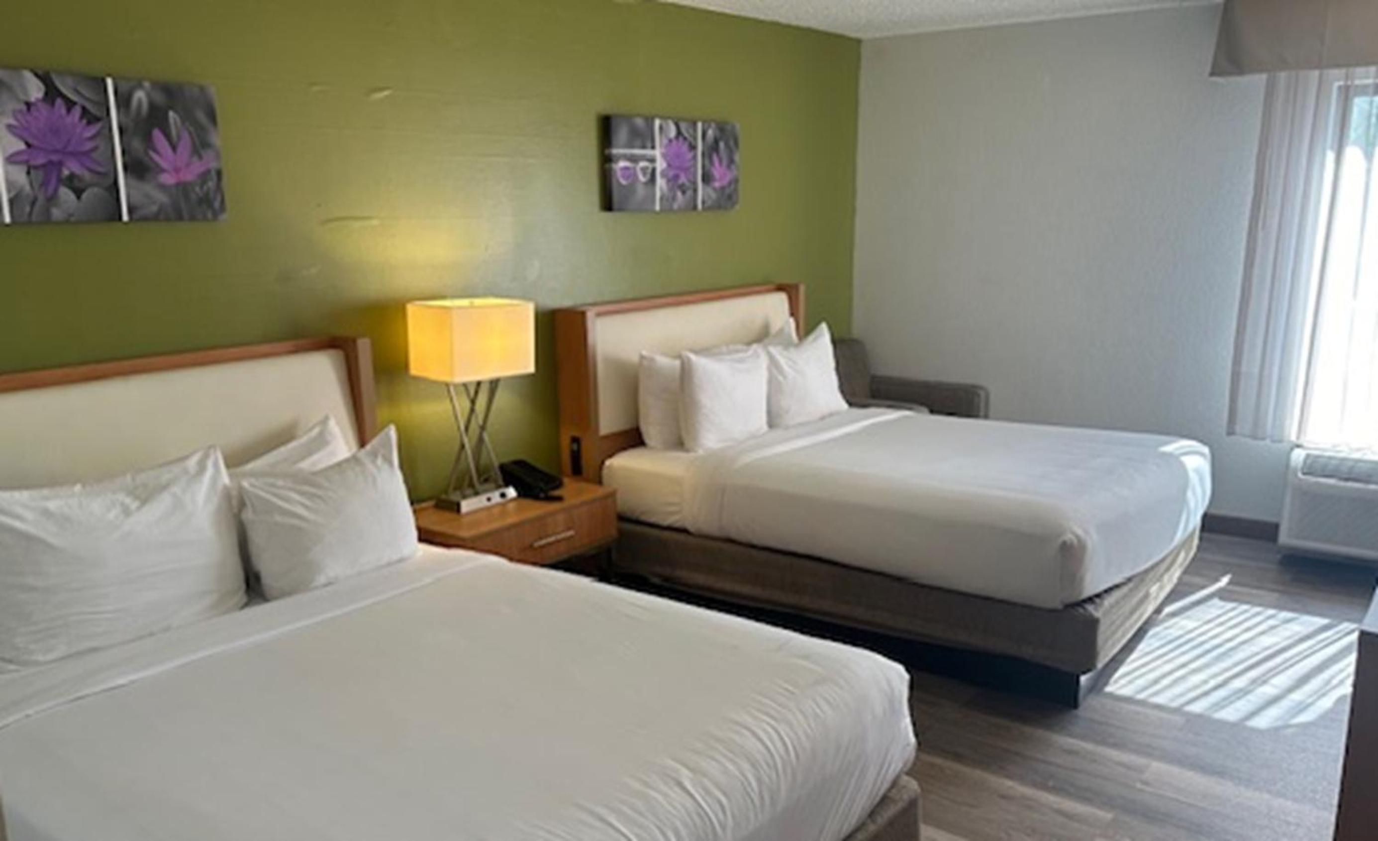 Standard Queen Room with Two Queen Beds - Non Smoking