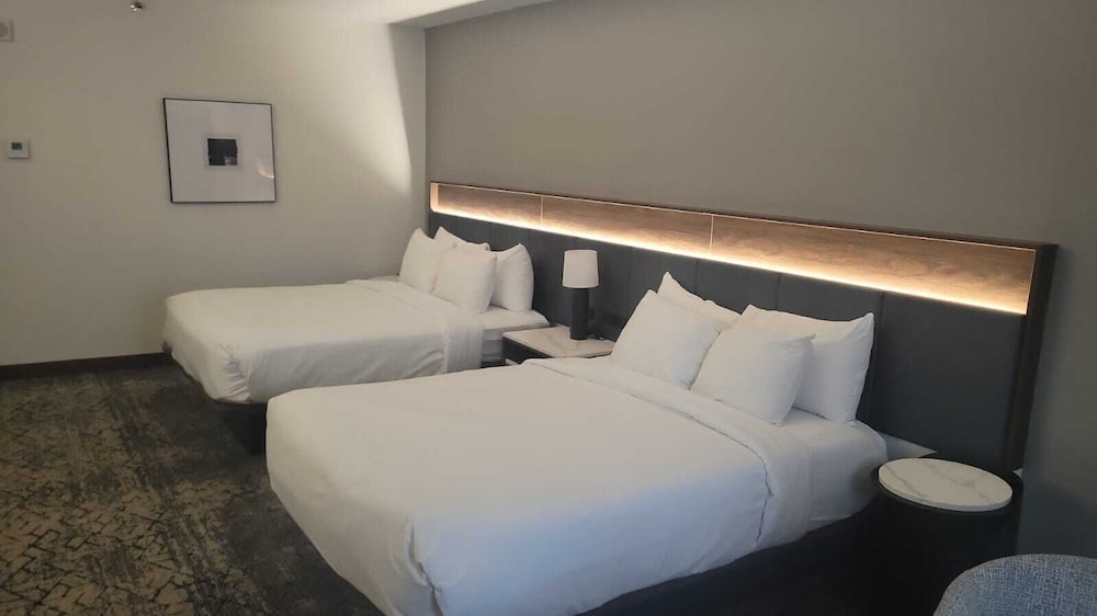 City Room, Multiple Beds, City View