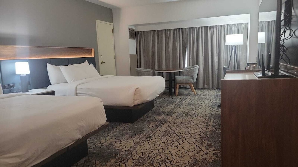 Club Room, Multiple Beds