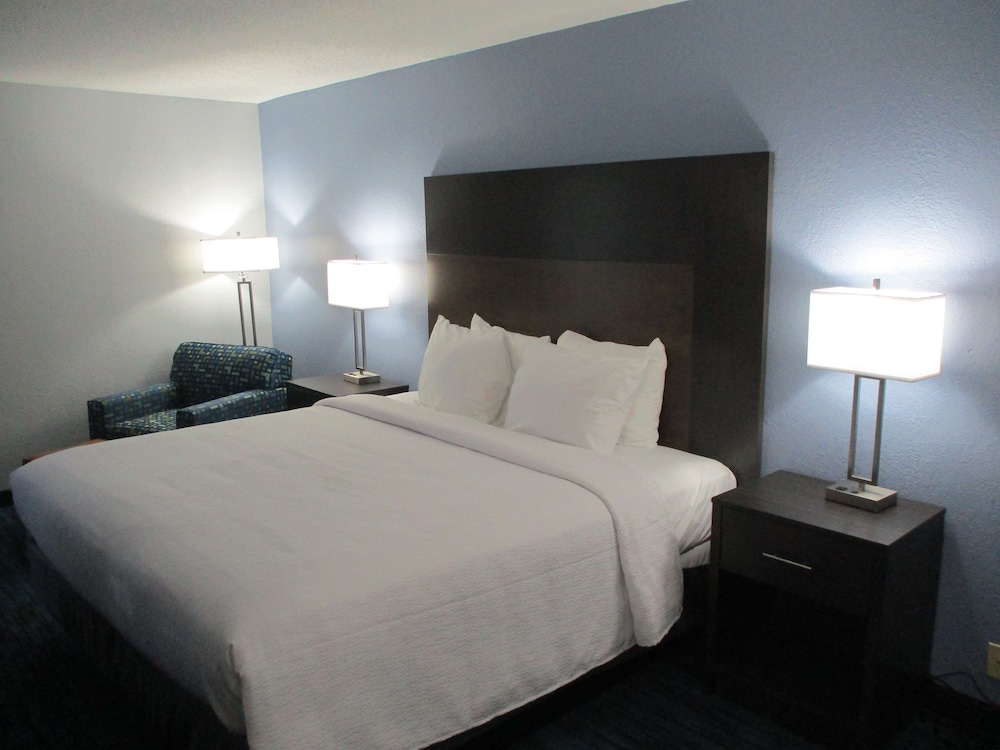 Standard Room, 1 King Bed with Sofa bed, Accessible, Jetted Tub (with Sofabed)