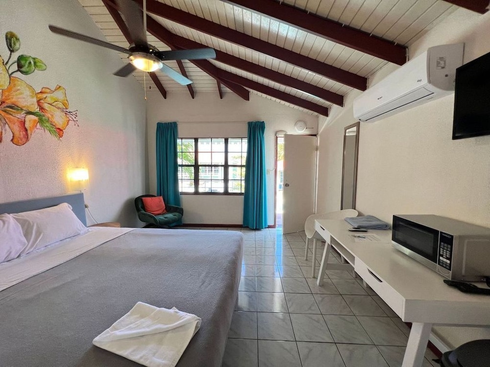 Premium Studio, 1 King Bed, Non Smoking, Pool View