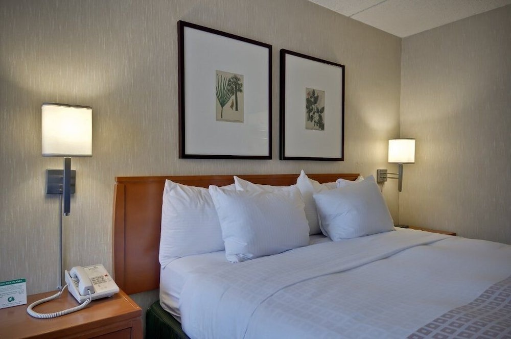 Single Room, 1 Queen Bed, Accessible