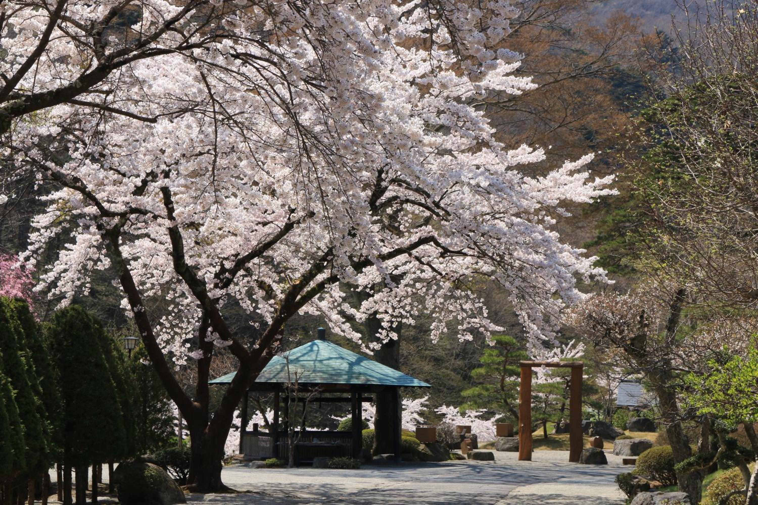 Itamuro Onsen Daikokuya