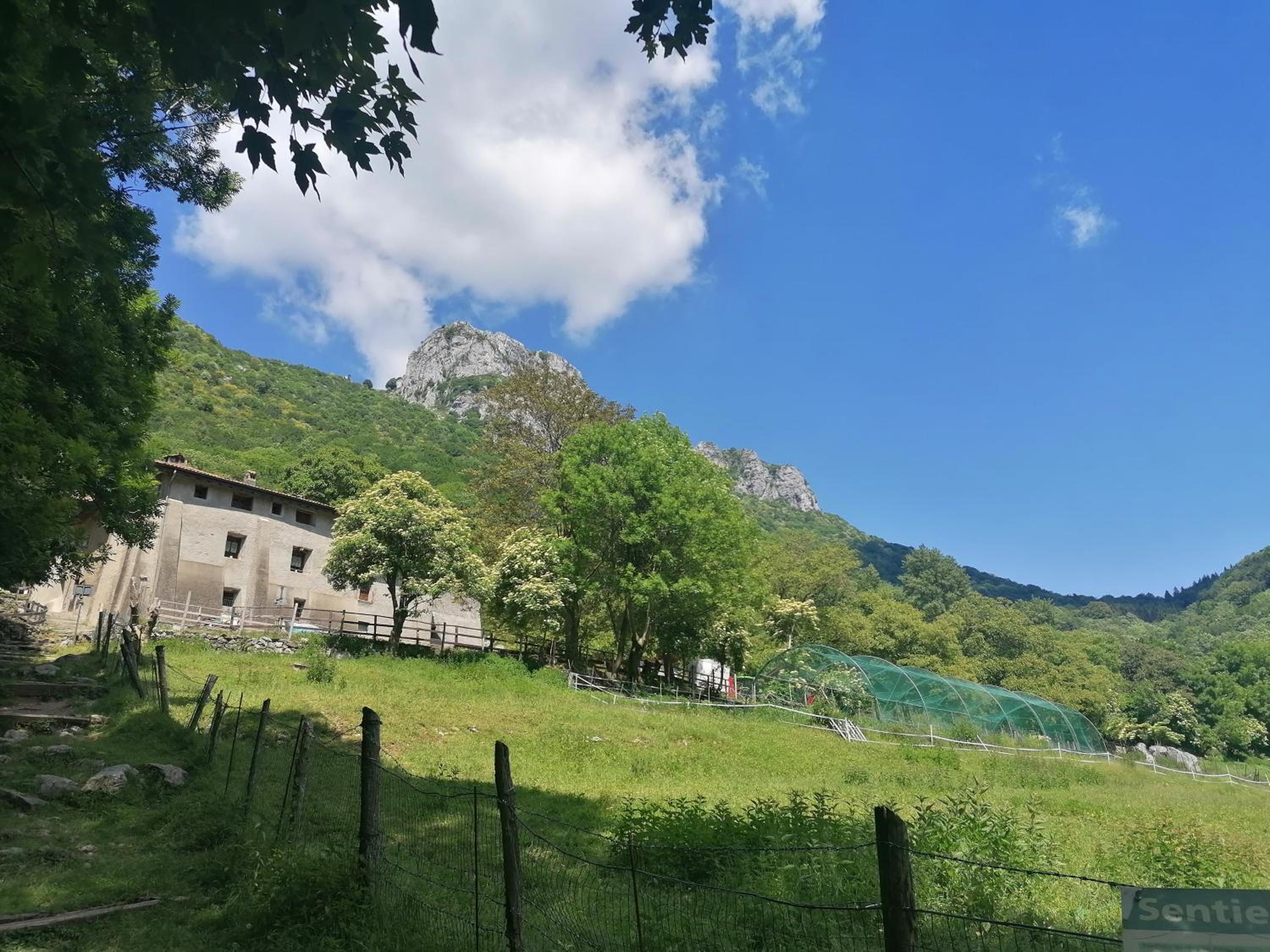 La Ruota del Mulino