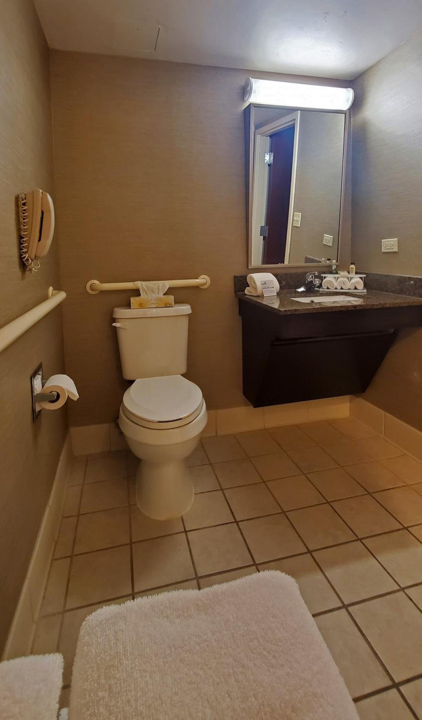 Holiday Inn Express & Suites Buffalo Airport by IHG