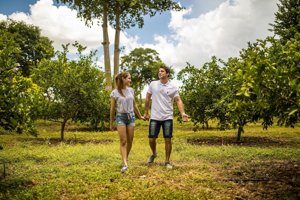 Hacienda Uxmal Plantation & Museum
